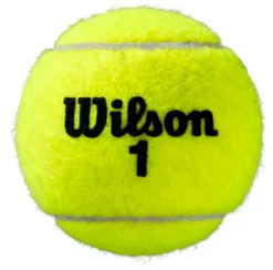 Balles De Tennis Wilson Roland Garros All Court (4 Pack) -Magasin De Sport De Tennis balles de tennis wilson roland garros all court 4 pack 76771 650x650 g1